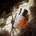 blanche bete limited edition the enchanting fragrance of 2026 how does wonder transform into reality