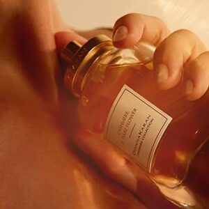 Donna Karan Cashmere & Palo Santo: A Fragrant Journey into Luxury and Elegance