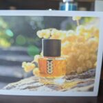 immortelle solaire eternal sun overture for all