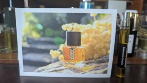 Immortelle Solaire: Eternal Sun Overture for All