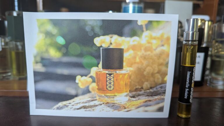 Immortelle Solaire: Eternal Sun Overture for All