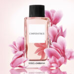 limperatrice royale by dolcegabbana a comprehensive review fragrance notes and choosing the perfect perfume for women