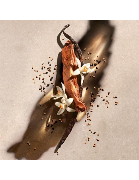 Five Costly Tools That Leave You Feeling Like You’ve Lost Money – What to Avoid When Buying DIY Equipment