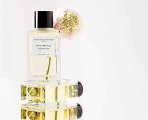 Velvet Iris: A Woody Floral Musk Fragrance